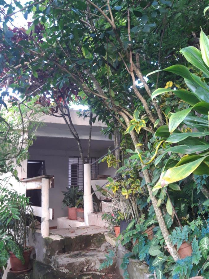 Au Jardin Fleuri Apartment Sainte-Anne Ngoại thất bức ảnh